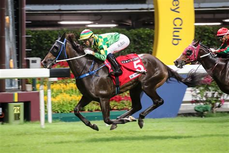 The Hong Kong horse racing action continues on Wednesday 30th March 2022 with an 8-race evening card at Sha Tin racecourse, with the first race set to be run. . Hong kong horse racing tips every tips